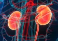How Does Uncontrolled Hypertension Lead to Kidney Failure?