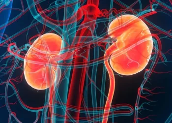 How Does Uncontrolled Hypertension Lead to Kidney Failure?