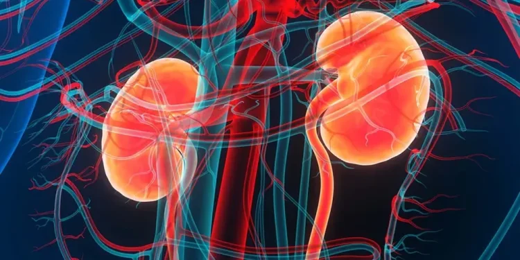 How Does Uncontrolled Hypertension Lead to Kidney Failure?