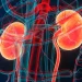 How Does Uncontrolled Hypertension Lead to Kidney Failure?